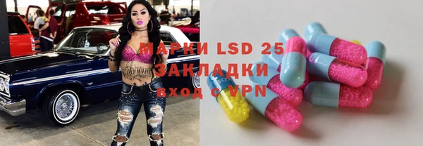 стафф Аркадак