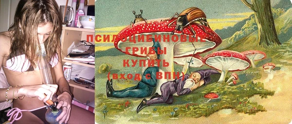 МДПВ Армянск