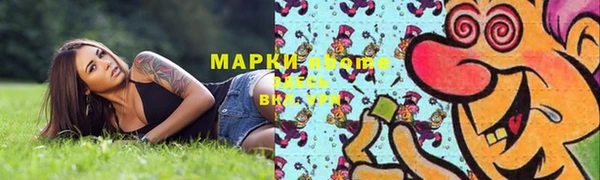 стафф Аркадак